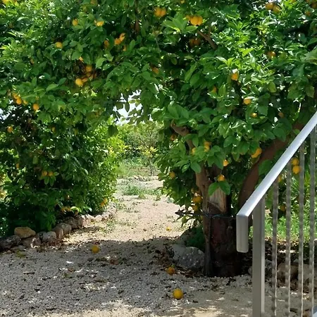 Casa vacanze House La Torre